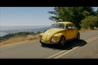 VW Coccinelle - Bumblebee